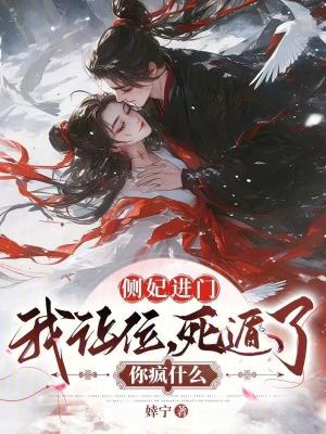 側(cè)妃進(jìn)門我讓位，死遁了你瘋什么